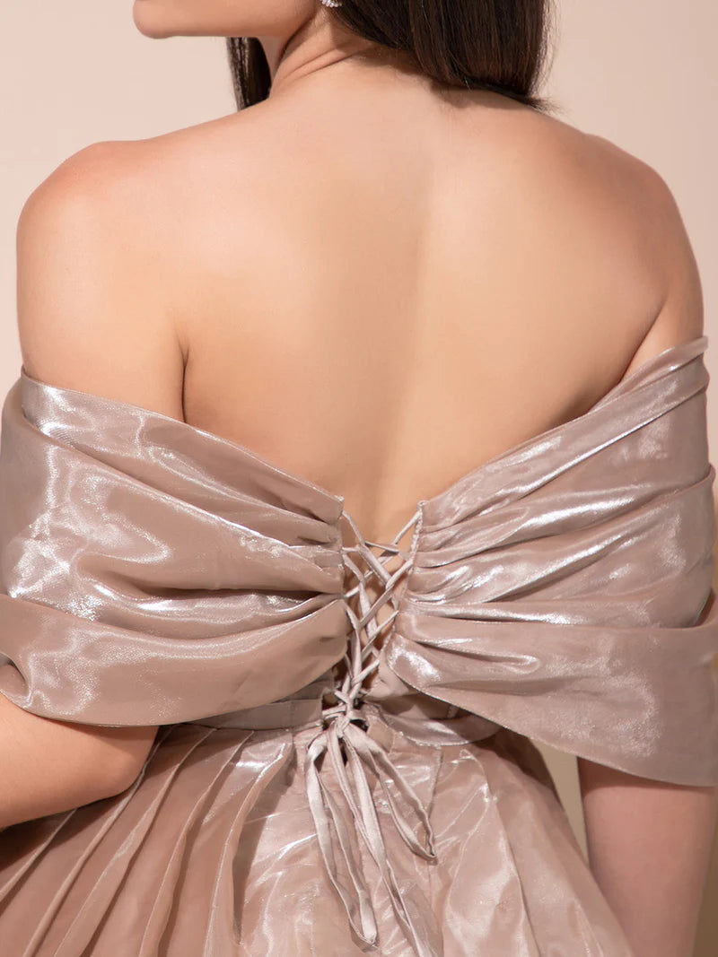 Beautiful Glamorous Dress