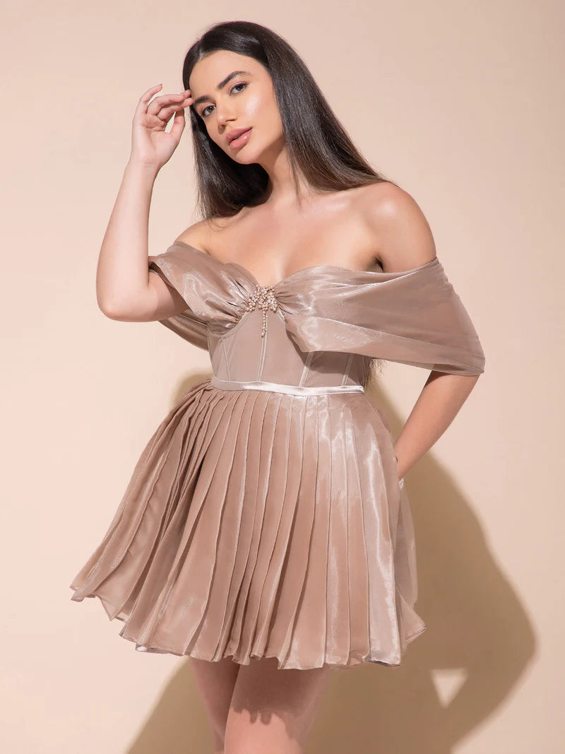 Beautiful Glamorous Dress